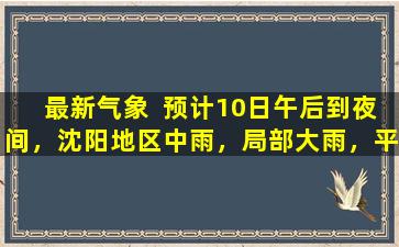 最新气象  预计10日午后到夜间，沈阳地区中雨，局部大雨，平均降水量10～25毫米